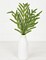 18" Artificial Norfolk Pine Spray – Soft Touch Evergreen Stem for Christmas Decor & Crafts-510706